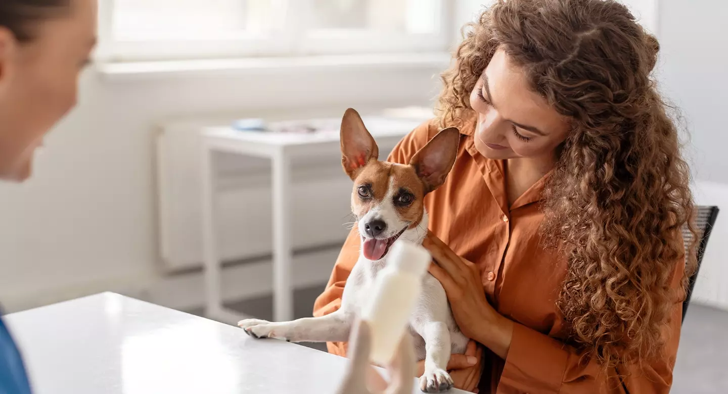 Cuidado Preventivo para Mascotas en Invierno