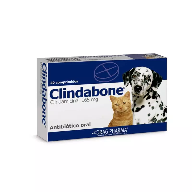 Clindabone