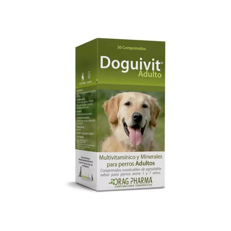 Doguivit adulto