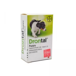 Drontal puppy