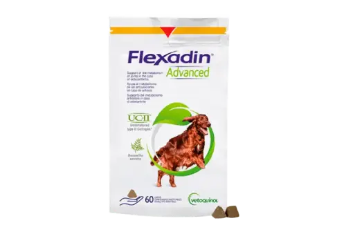 Flexadin advanced_destacado