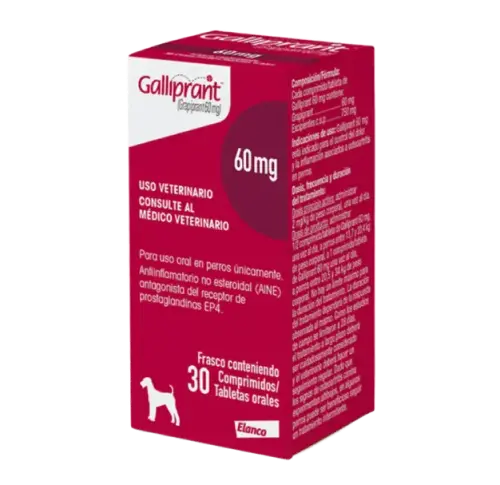 Galliprant-60-mg-30-comprimidos_destacado