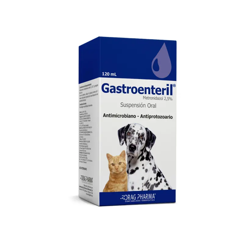 Gastroenteril