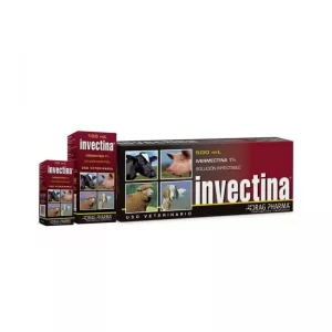 Invectina