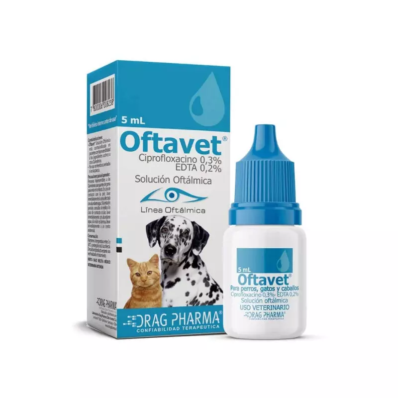 Oftavet