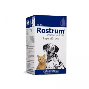 Rostrum susp oral