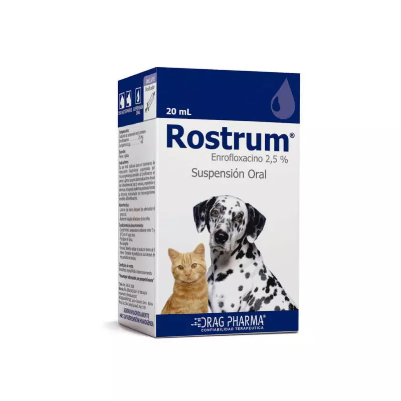 Rostrum susp oral