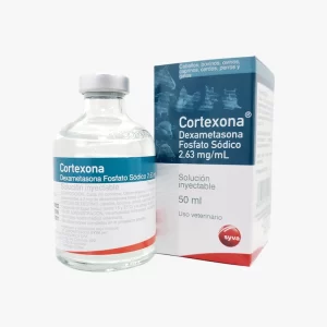 Cortexona