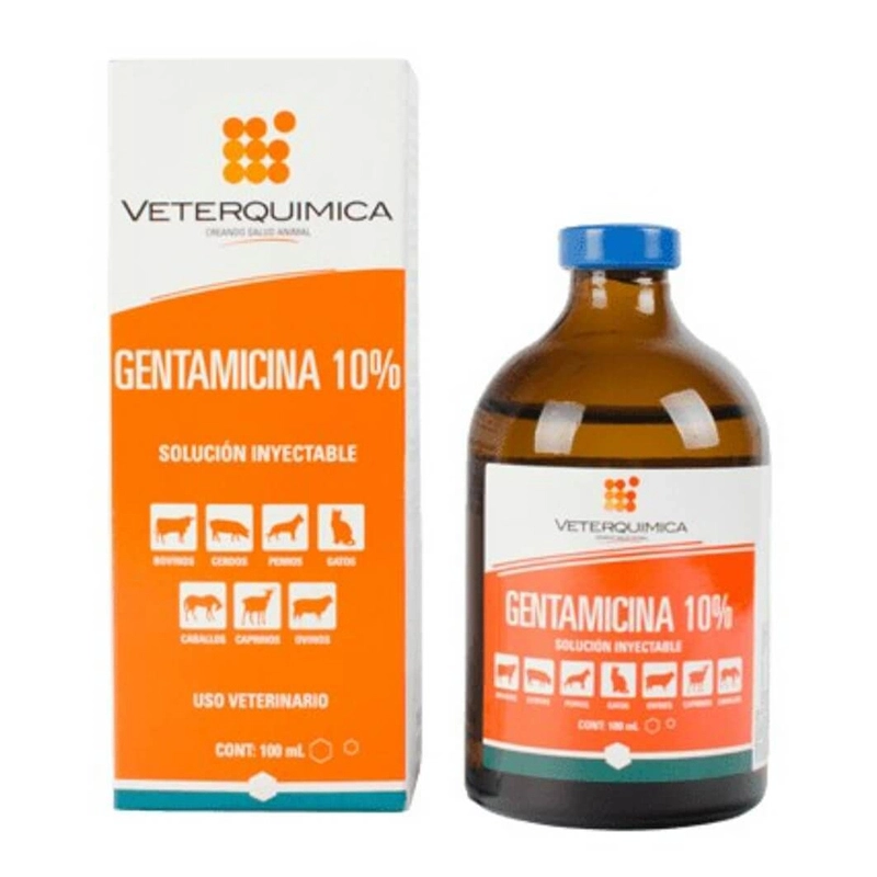 Gentamicina 100ml