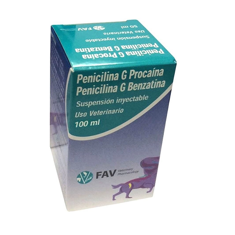 Penicilina procaina