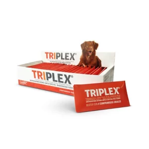 Triplex