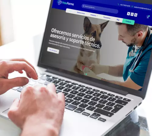 Encuentra todo en un solo lugar, en productos veterinarios, insumos y medicamentos_beneficios