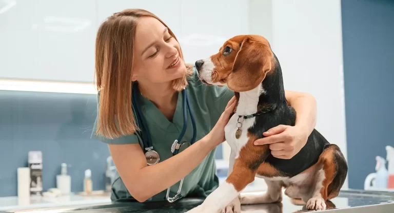 Últimas Innovaciones en Productos Veterinarios Lo que Debes Conocer