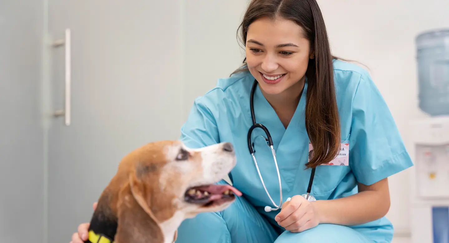 Día Mundial del Veterinario